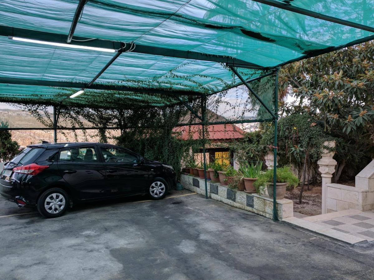 Apartment Full Panorama To Archaeological Site